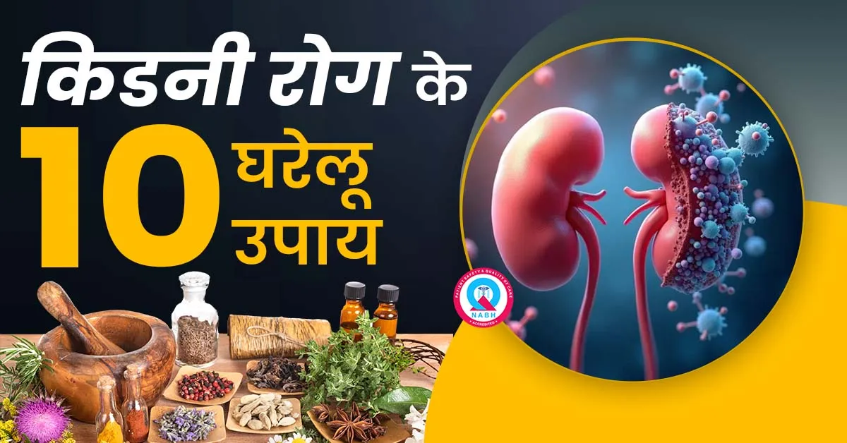 किडनी-रोग-के-10-घरेलू-उपाय